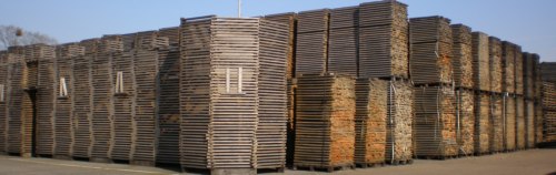 Existencias de madera de roble para la fabricacin de barriles (barricas) en la Tonelera SIRUGUE secado natural aire libre, Nuits-Saint-Georges, Borgoa, Francia